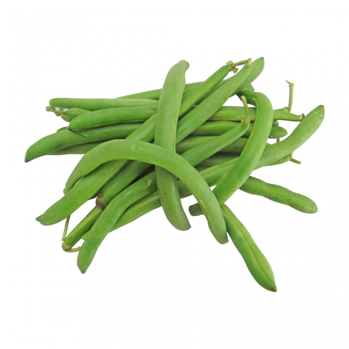 Haricots
