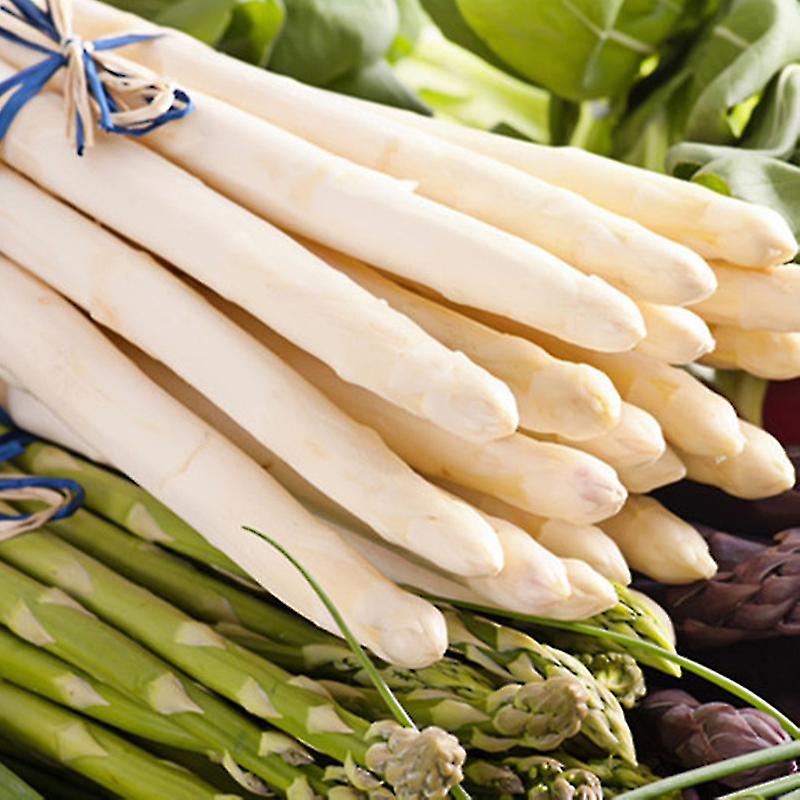 Asperge