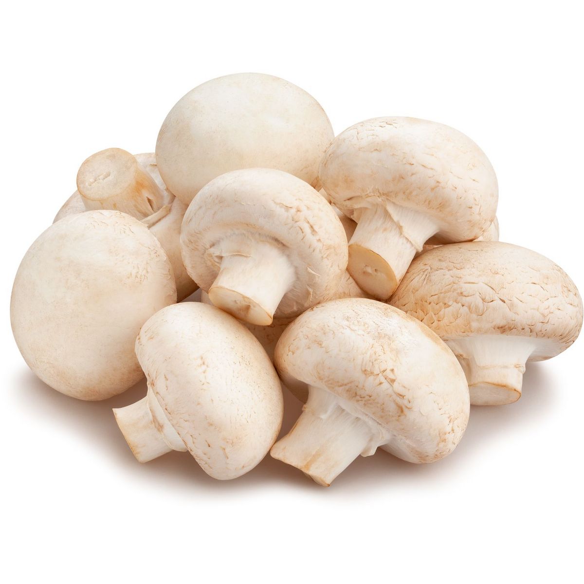 Champignon