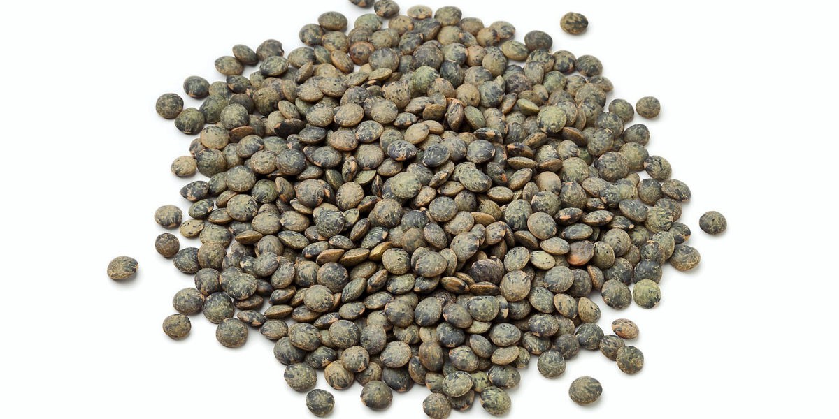 lentille